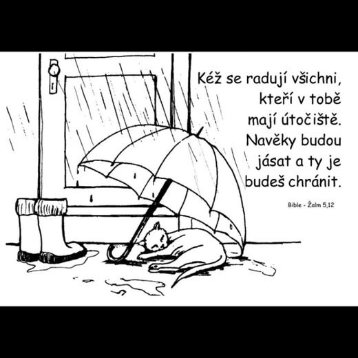 Pohled_omal_08.JPG